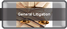 litigation-lawyers